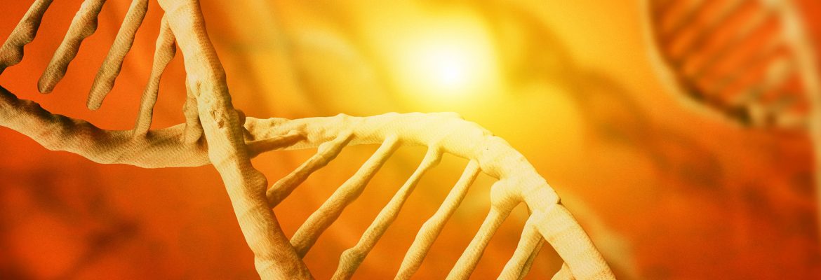 Клеточно-генетическая энергетика у детей при различных режимах обучения