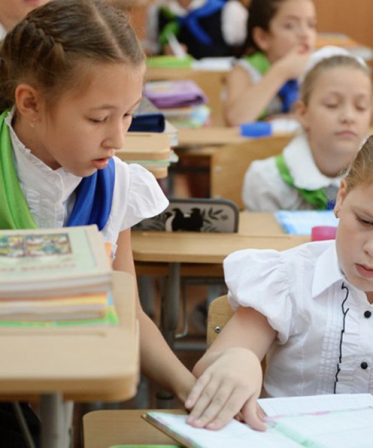 Раздельно-параллельное обучение девочек и мальчиков