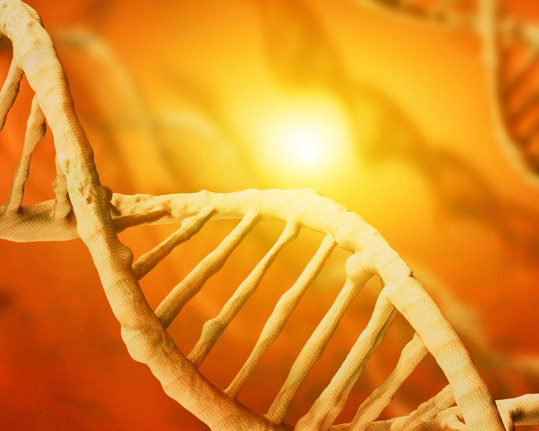 Research: Cellular-genetic energy of students with different modes of learning