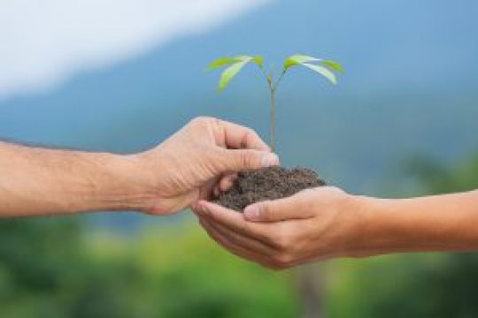 От худого семени не жди доброго племени