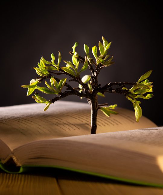 Научное раскрытие центральной библейской идеи