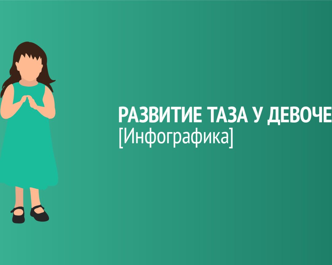 Инфографика: развитие таза у девочек