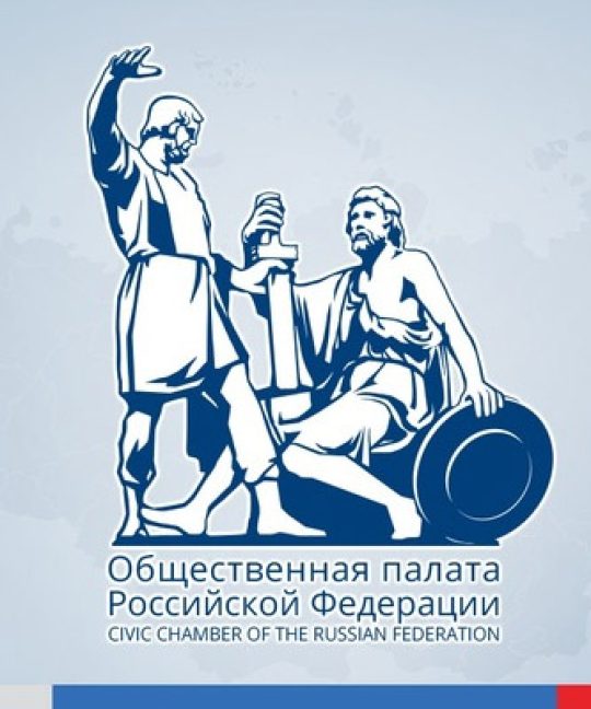 Общественная палата РФ: Здоровое образование: опыт и перспективы