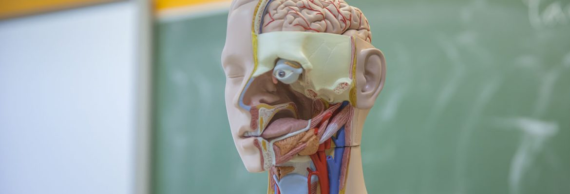 Биология в раздельных классах