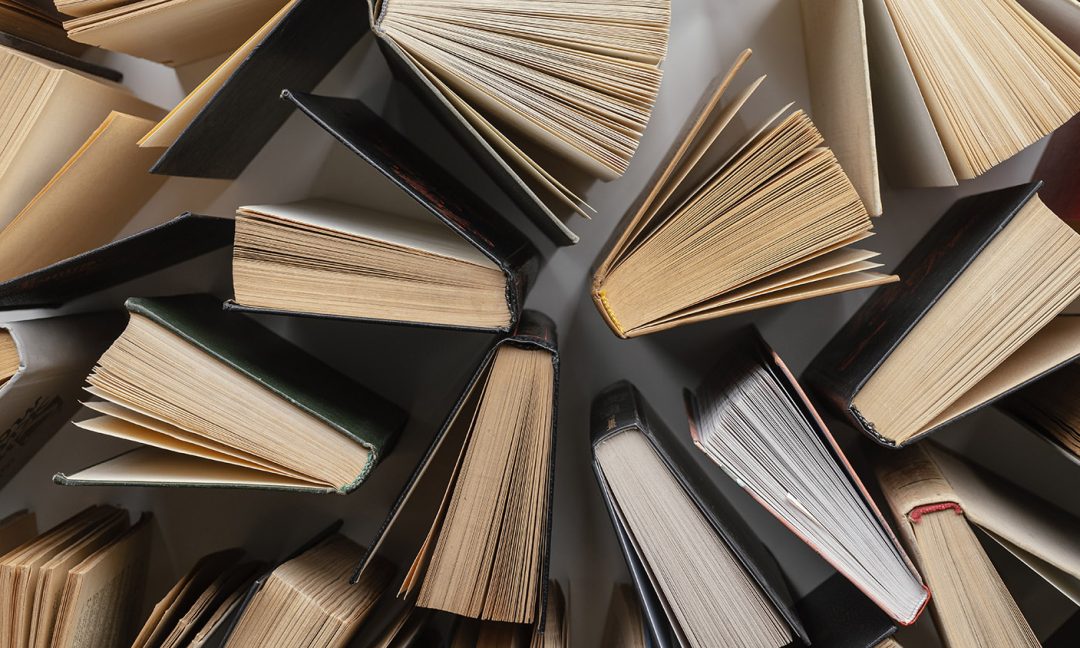 Не «ребята», а мальчики и девочки : литература в раздельных классах