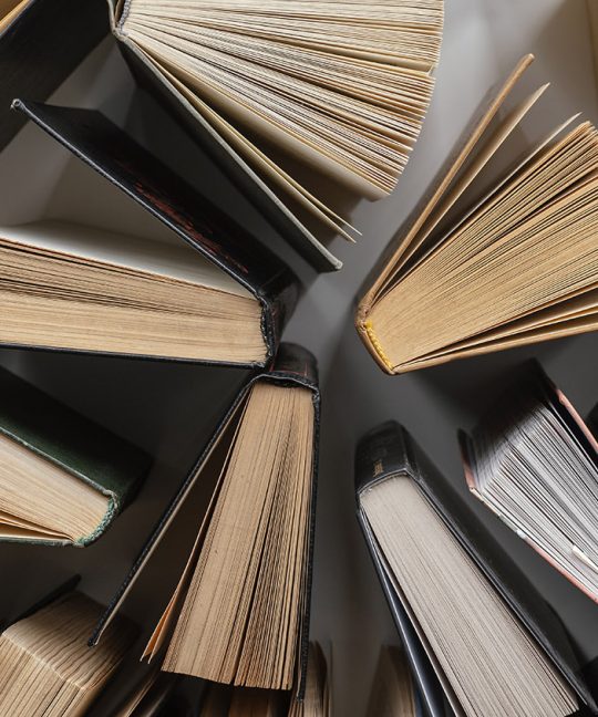 Не «ребята», а мальчики и девочки : литература в раздельных классах