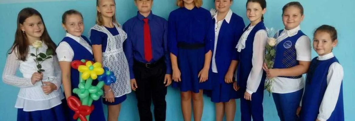 Раздельное обучение