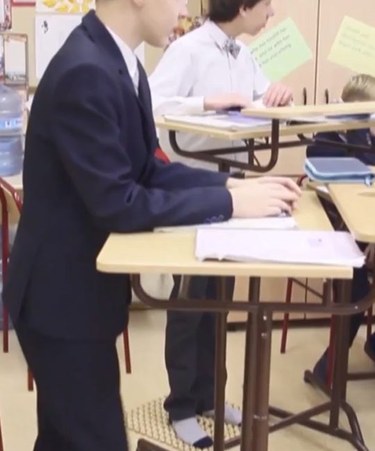 Здоровьеразвивающие технологии Базарного в образовательном процессе Земской гимназии