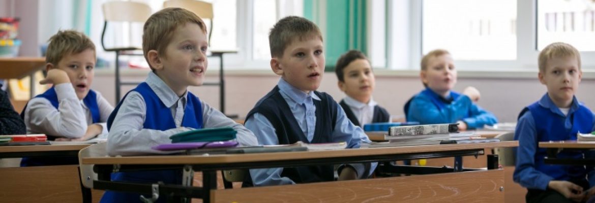 Особенности работы по системе Л.В. Занкова в классах мальчиков