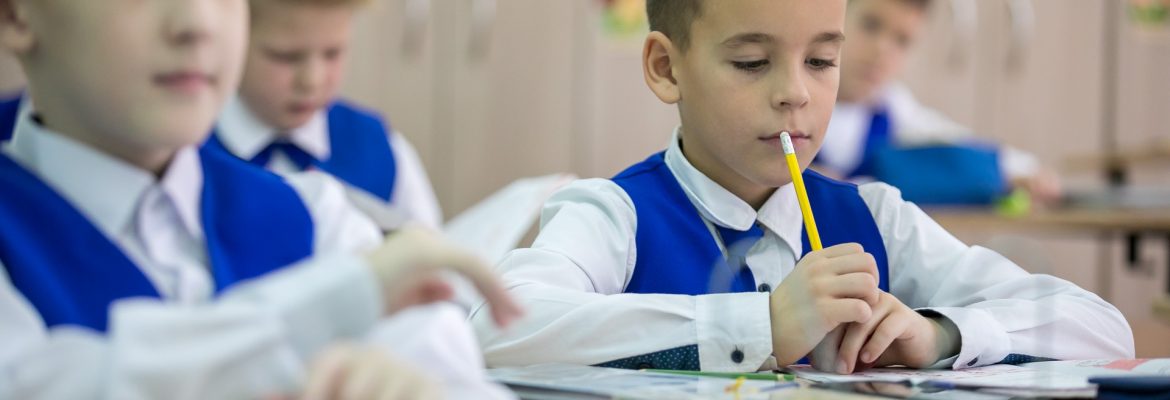 Система Л. В. Занкова в классе мальчиков