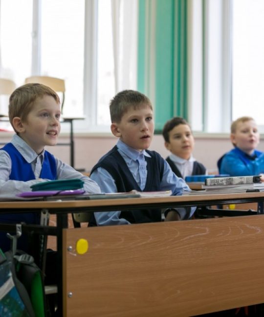 Особенности работы по системе Л.В. Занкова в классах мальчиков