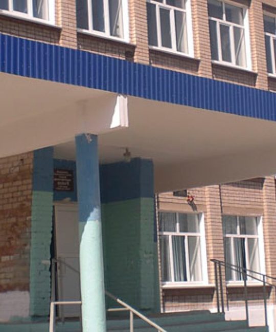 Раздельное обучение: в начале пути