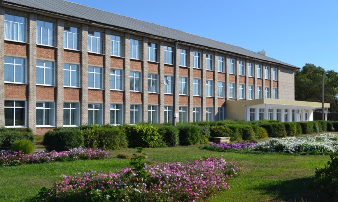 Формирование успешной здоровой творческой личности младшего школьника через использование элементов методики В.Ф. Базарного