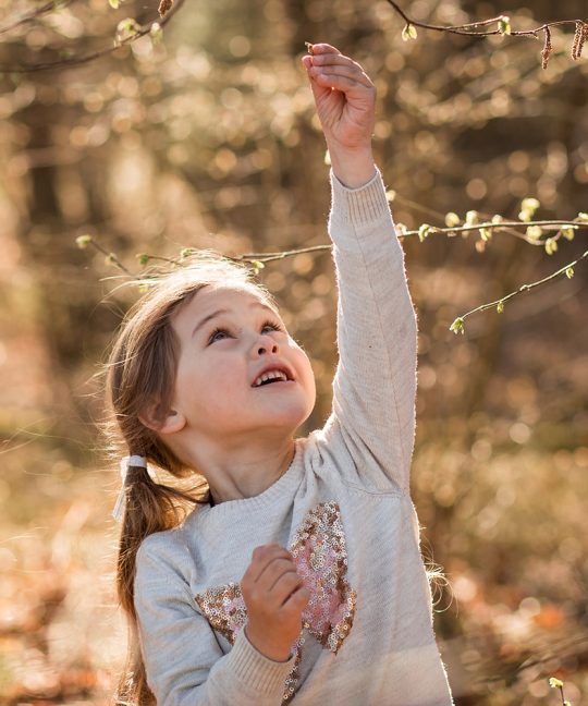 Развитие продуктивного воображения младших школьников (научная работа)