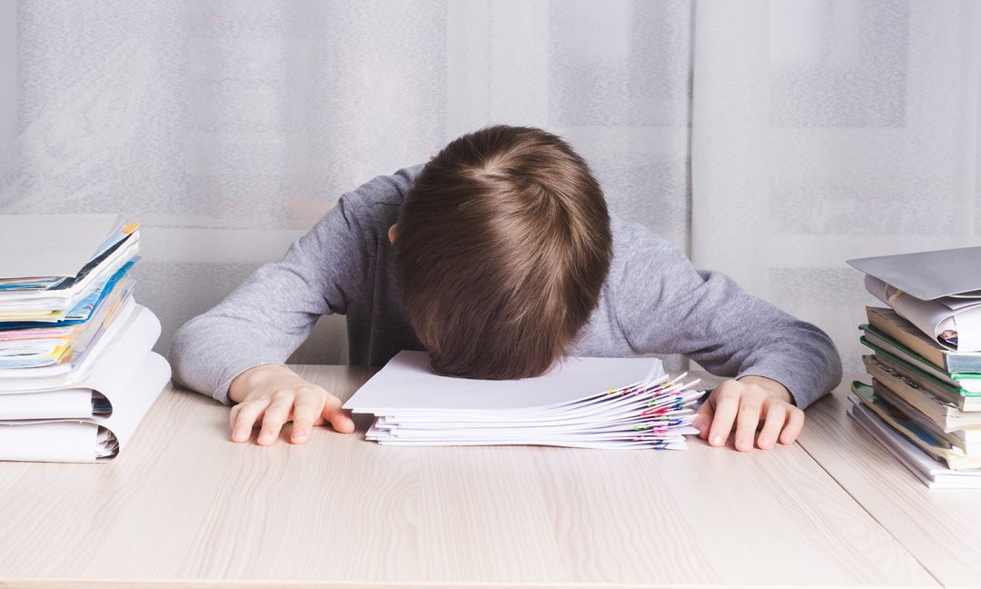 О том, как школа способствует формированию и развитию…