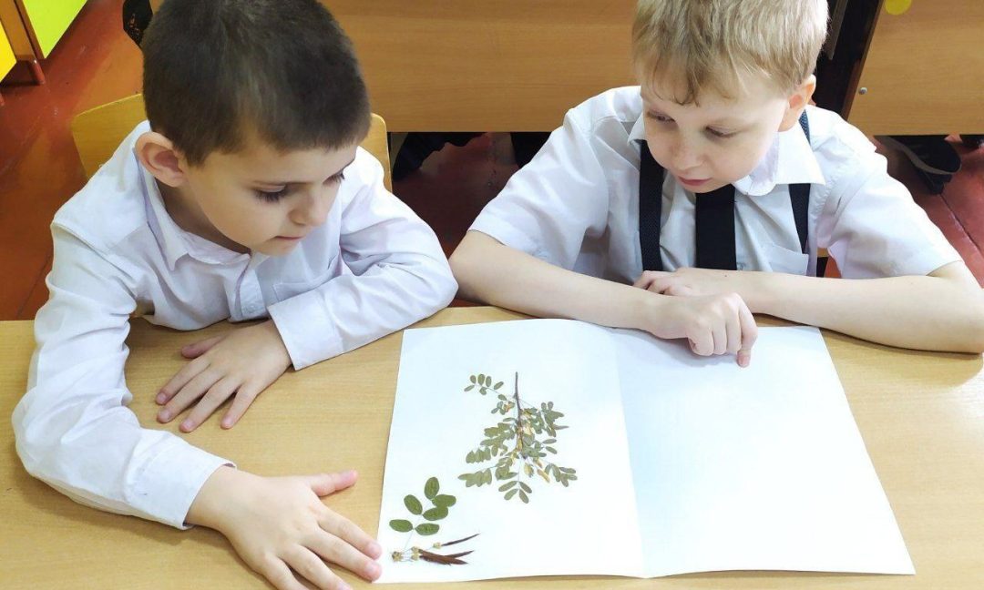 Здоровый нищий счастливее больного короля