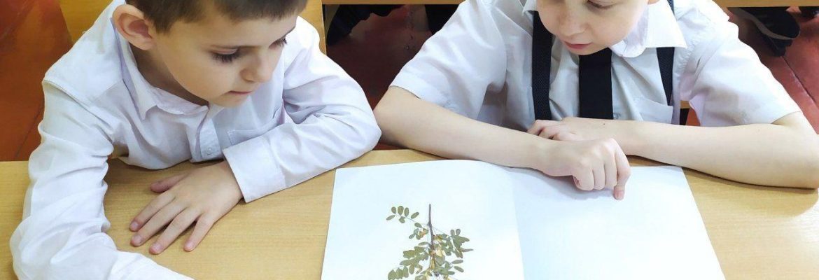 Здоровый нищий счастливее больного короля