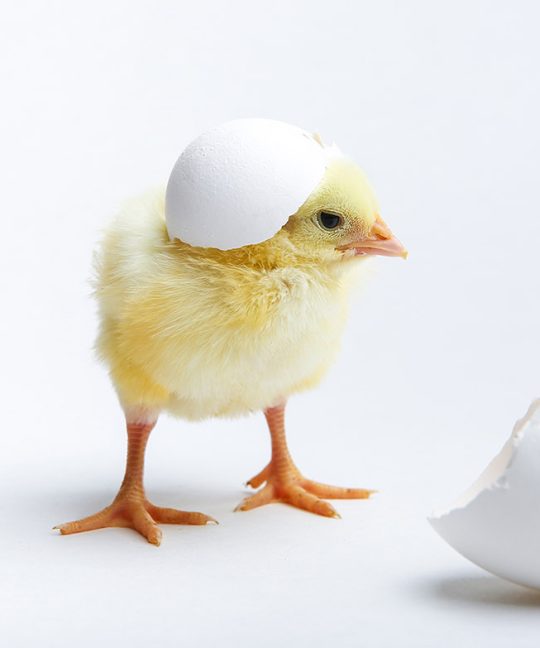 О том, как важно развитие способностей ребенка…