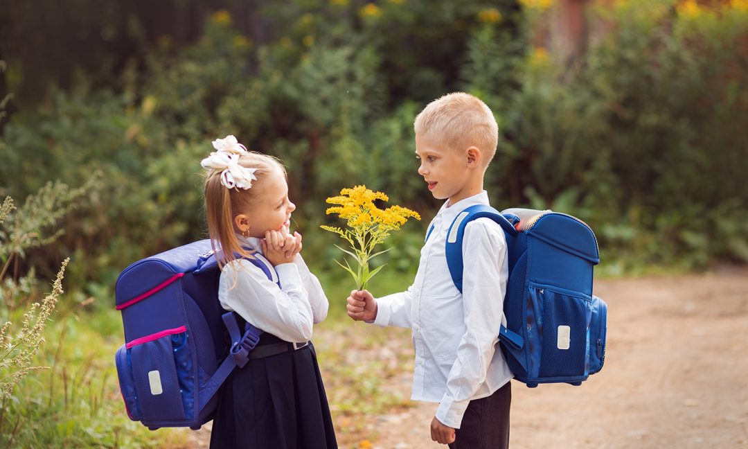 Гендерный подход к учебно-воспитательной деятельности в школе