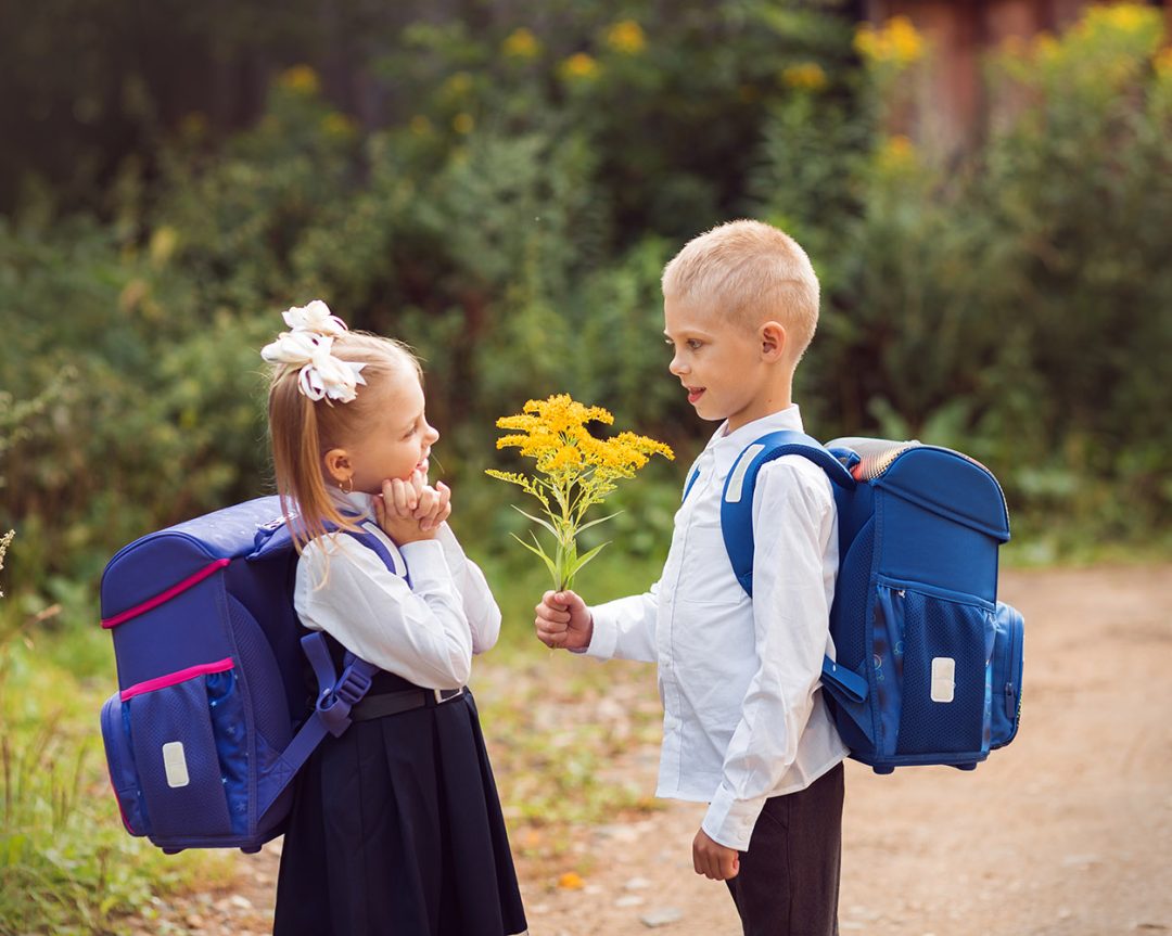 Гендерный подход к учебно-воспитательной деятельности в школе