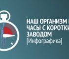 Инфографика: наш организм как часы с коротким заводом