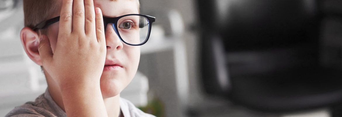 Применение компьютерных технологий в процессе обучения детей с нарушением зрения