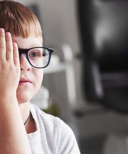 Применение компьютерных технологий в процессе обучения детей с нарушением зрения