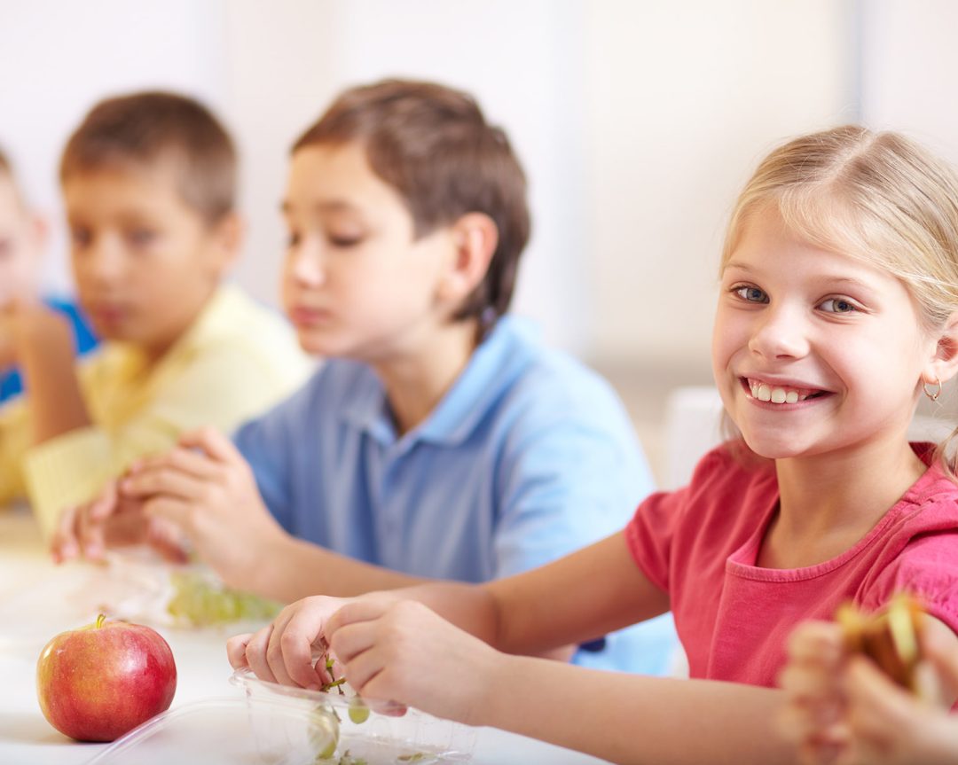 Проблемы и пути совершенствования организации питания обучающихся и воспитанников образовательных учреждений ярославской области