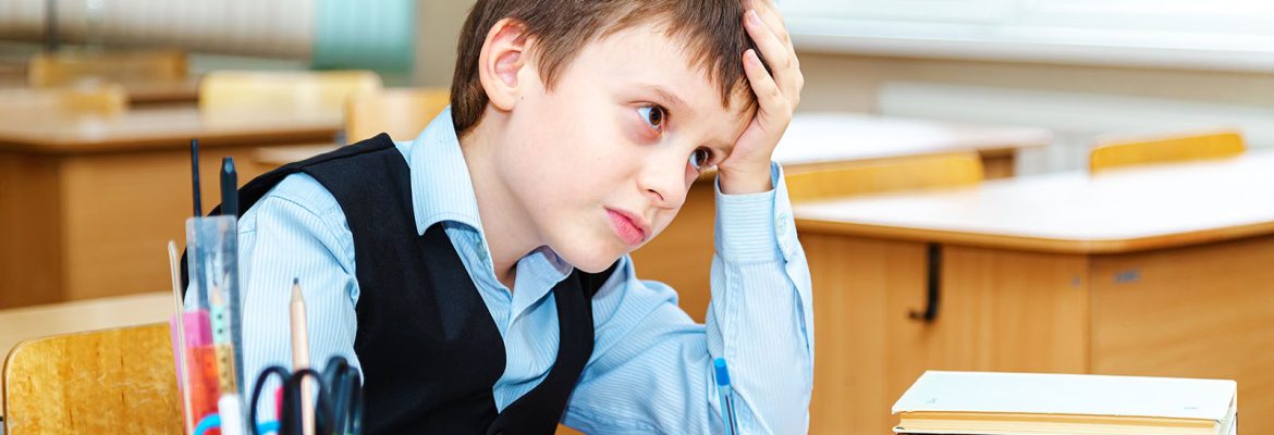 Почему принципы государственной политики в области образования не стали принципами построения учебного процесса