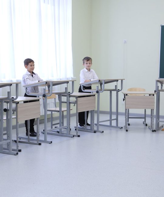 Создание условий для здорового физического, психического и социального развития обучающихся в школьной среде