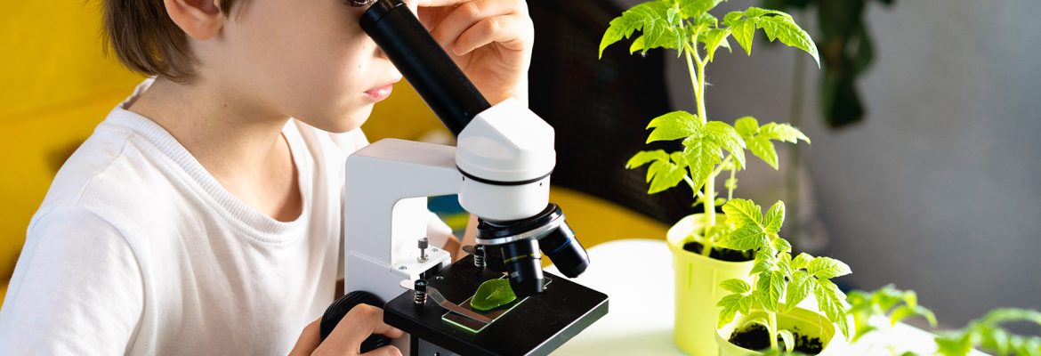 Здоровьесберегающие технологии в процессе обучения биологии