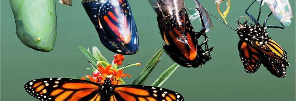 О пользе самостоятельного выполнения домашних заданий...